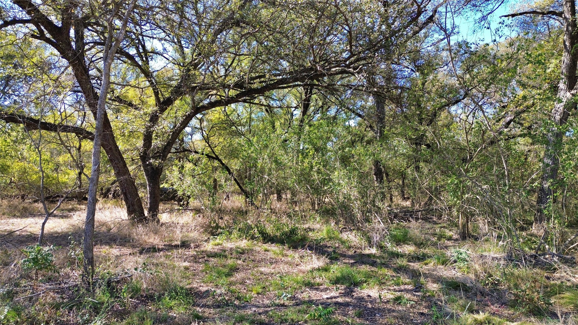 000 Bee Creek Road Grandview TX 76050