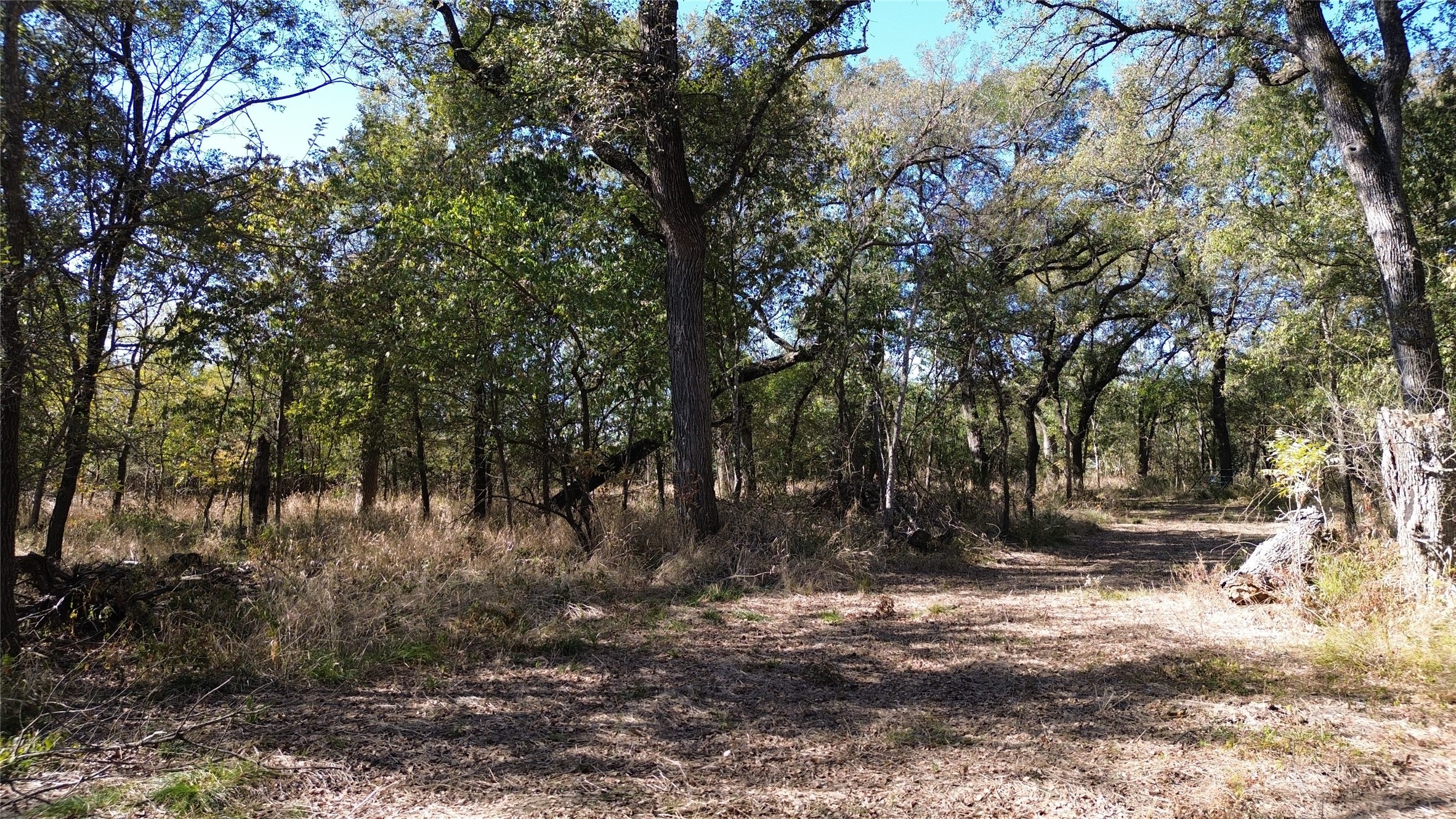 000 Bee Creek Road Grandview TX 76050