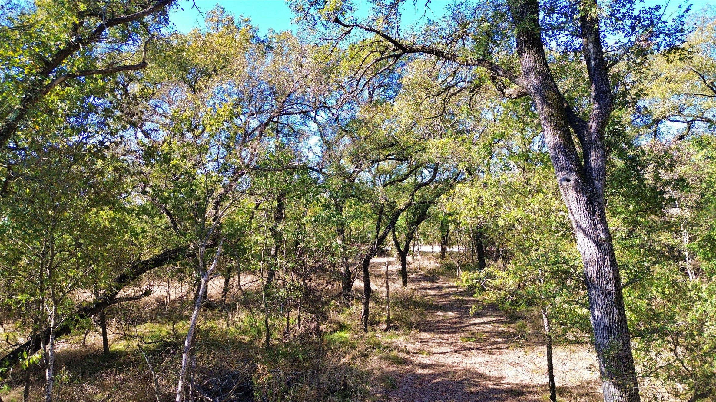 000 Bee Creek Road Grandview TX 76050
