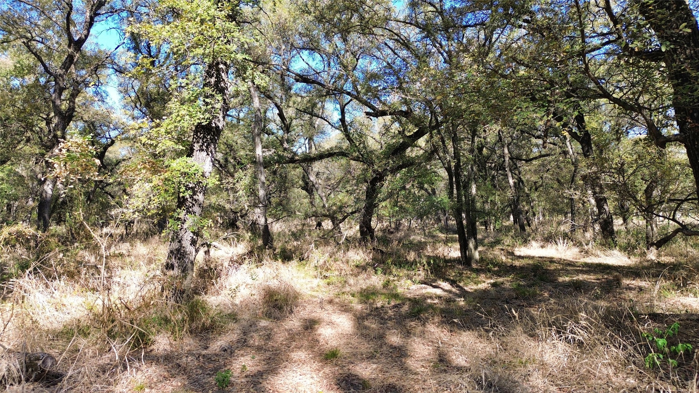 000 Bee Creek Road Grandview TX 76050