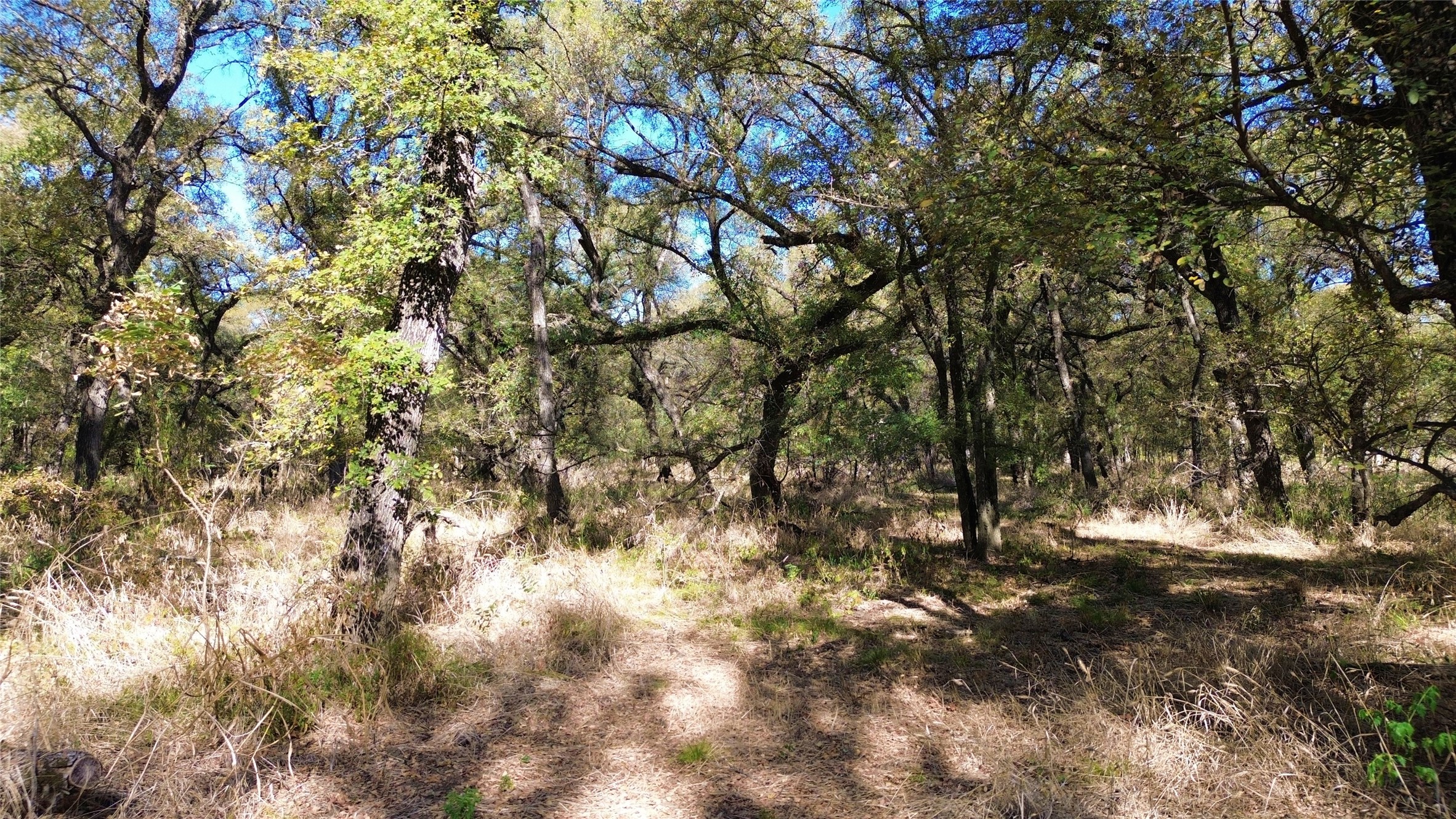 000 Bee Creek Road Grandview TX 76050