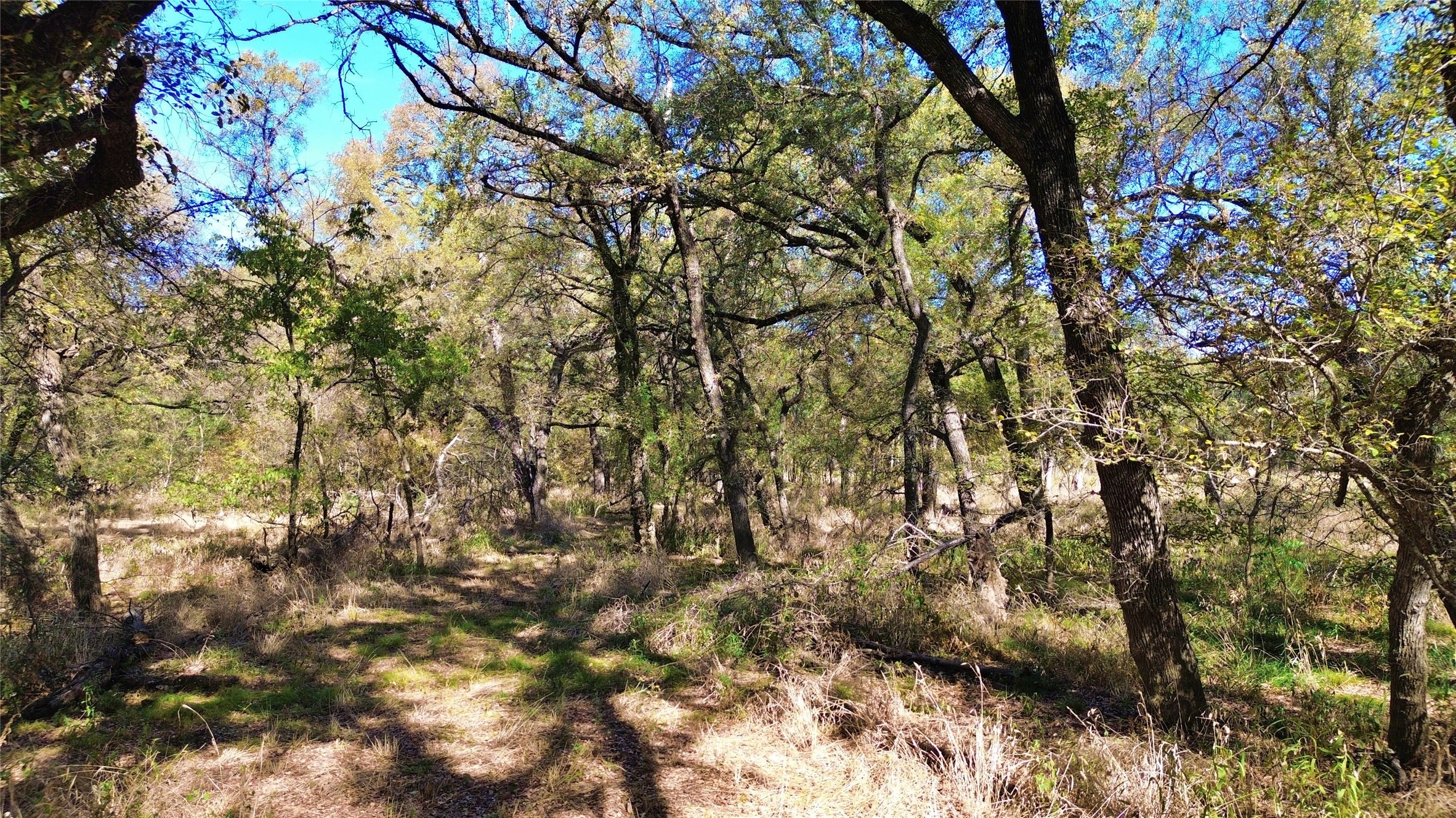 000 Bee Creek Road Grandview TX 76050