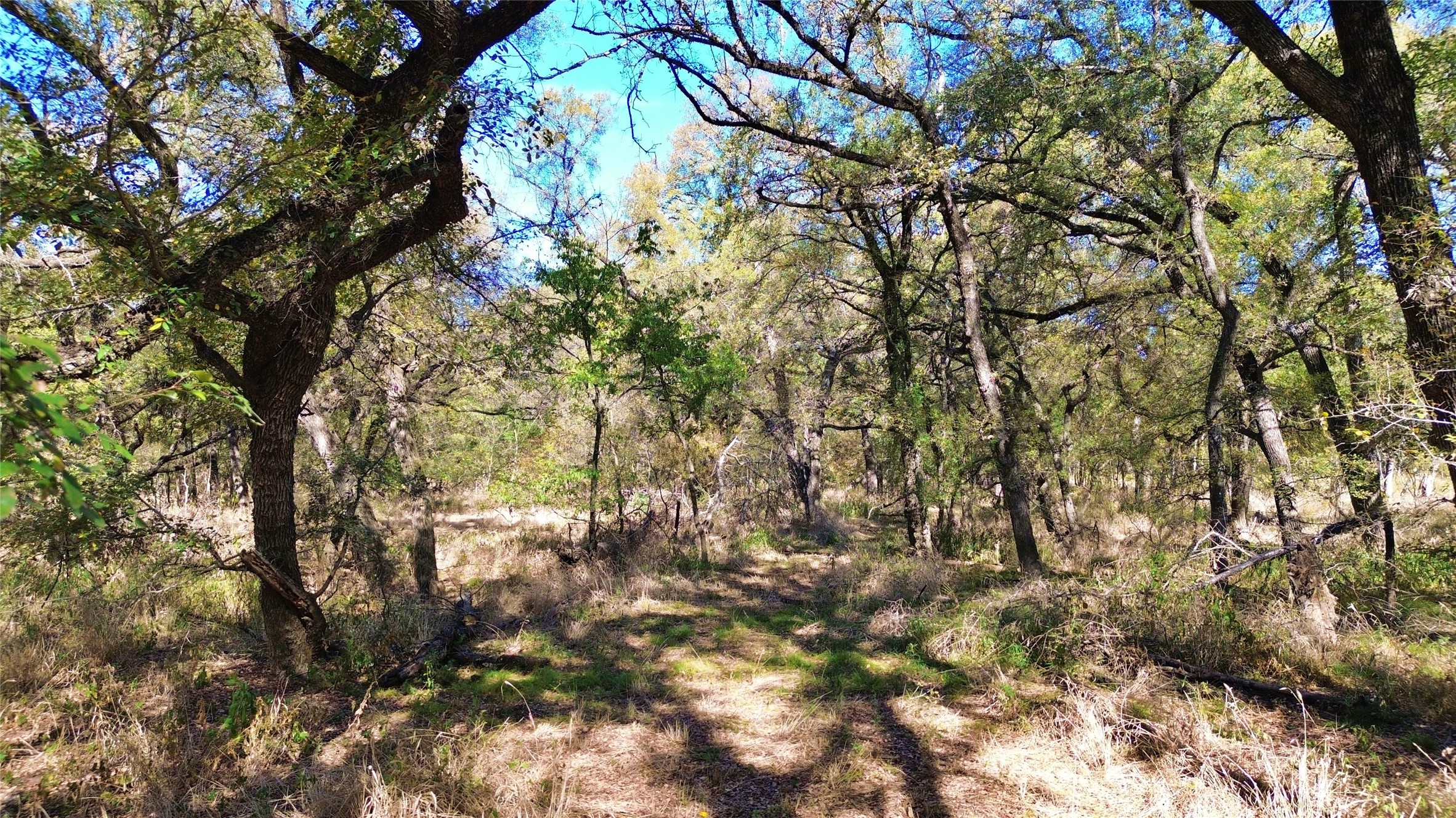 000 Bee Creek Road Grandview TX 76050