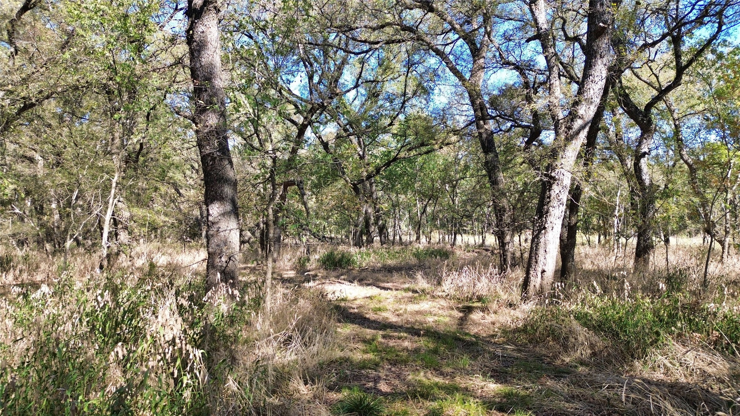 000 Bee Creek Road Grandview TX 76050