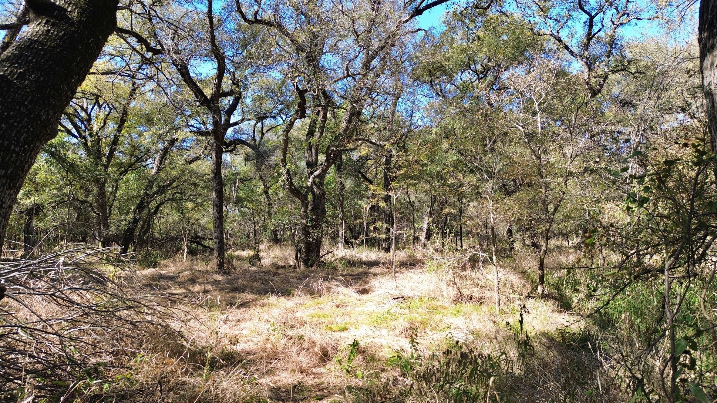 000 Bee Creek Road Grandview TX 76050