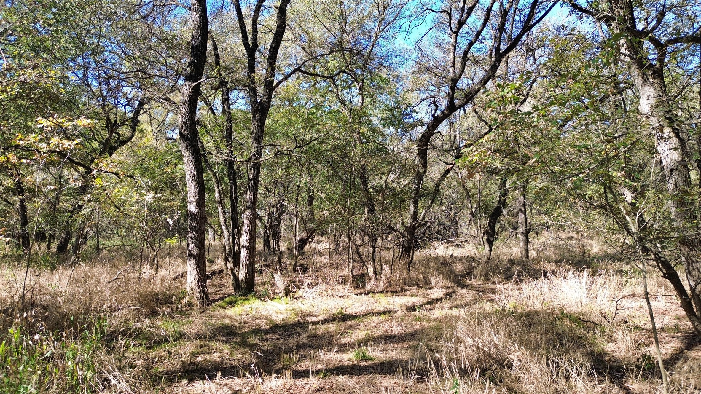 000 Bee Creek Road Grandview TX 76050