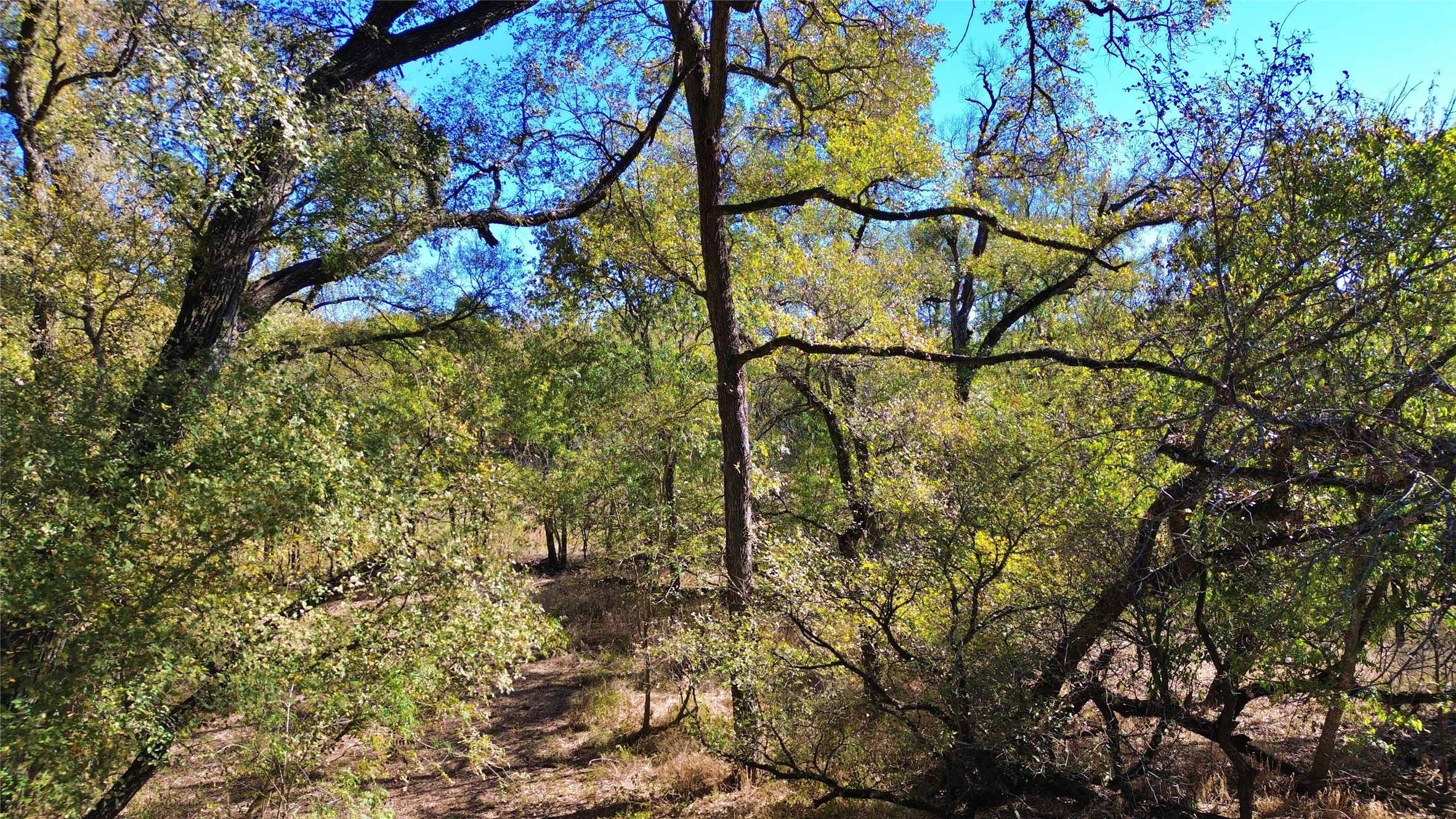 000 Bee Creek Road Grandview TX 76050