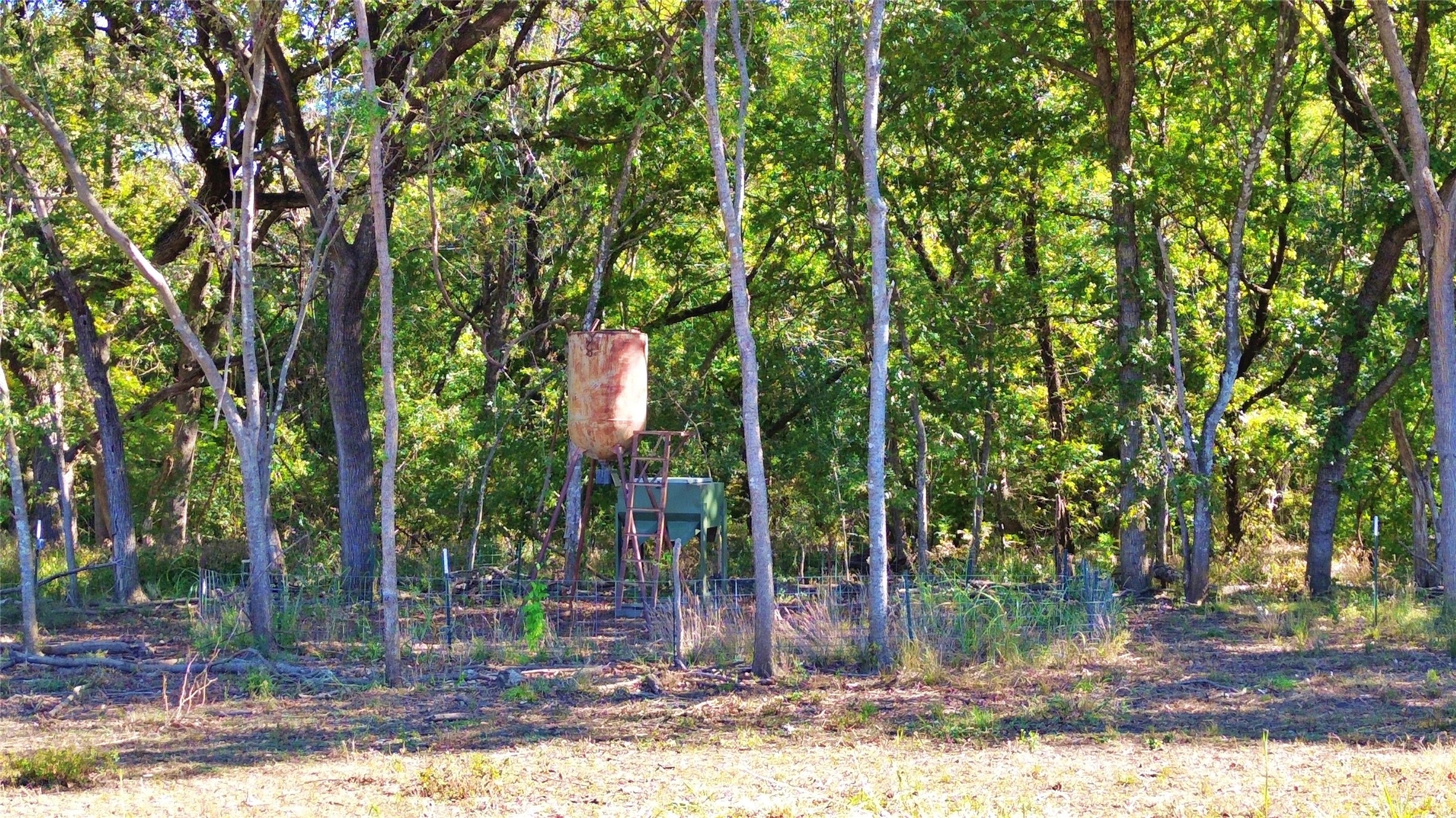 000 Bee Creek Road Grandview TX 76050
