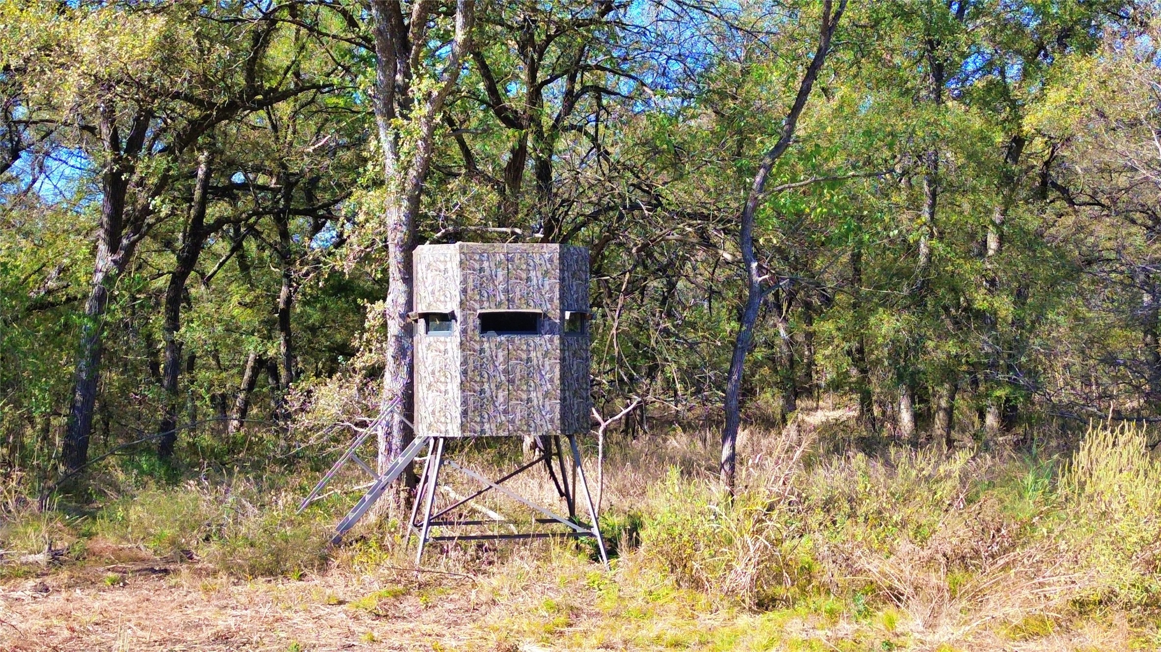 000 Bee Creek Road Grandview TX 76050