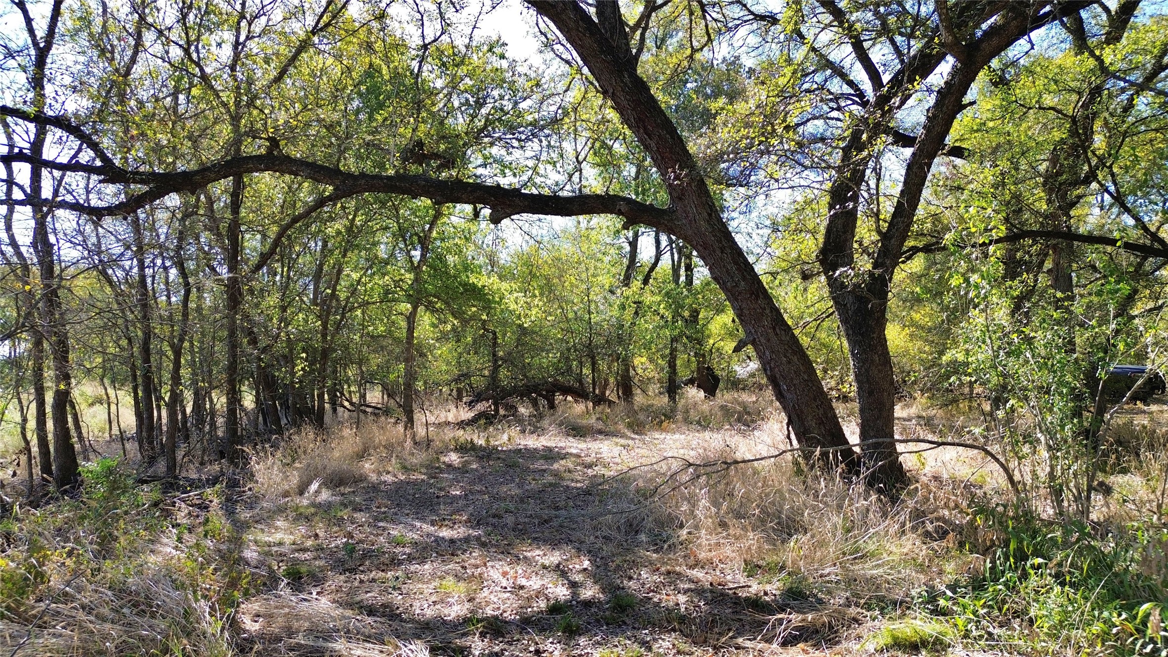 000 Bee Creek Road Grandview TX 76050