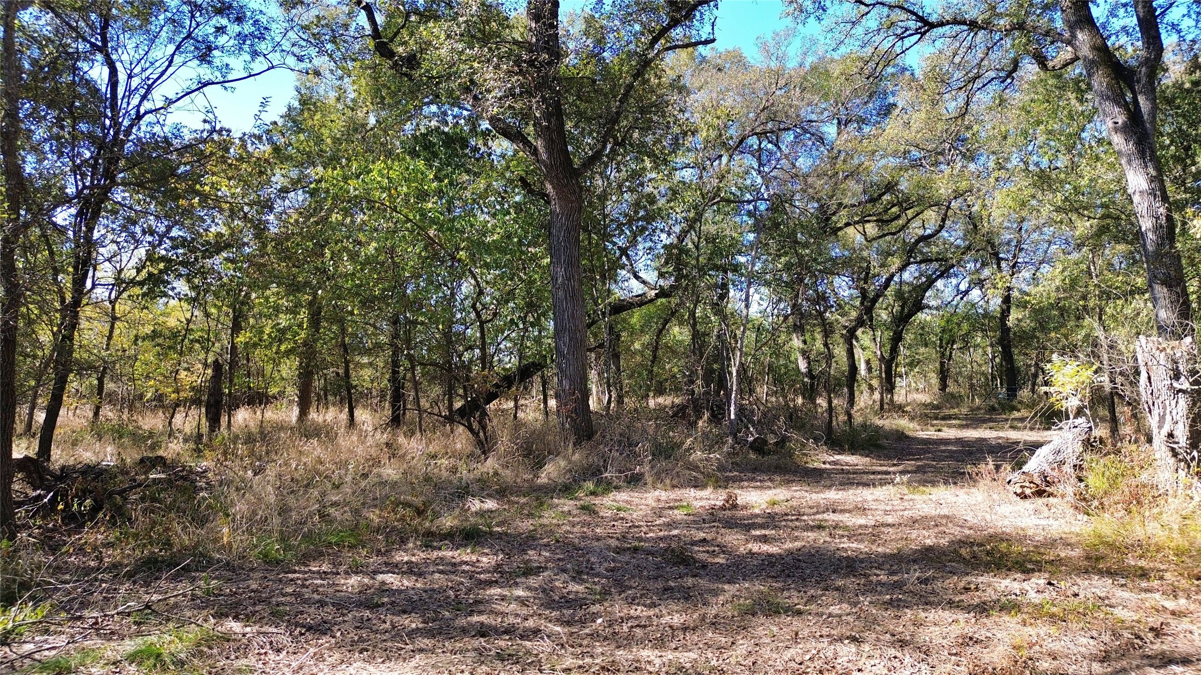 000 Bee Creek Road Grandview TX 76050