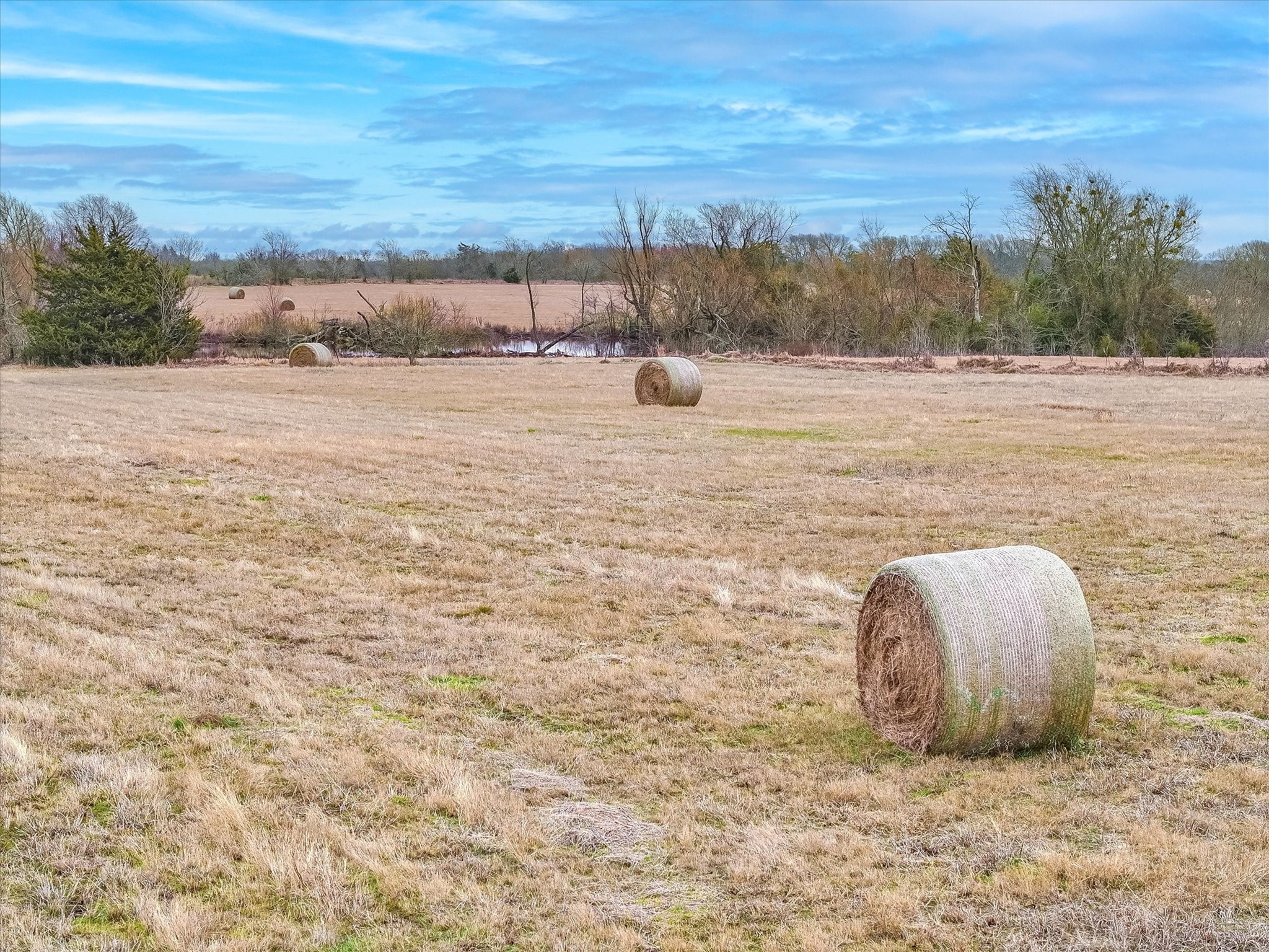 12740 Fm-90 Mabank TX 75147