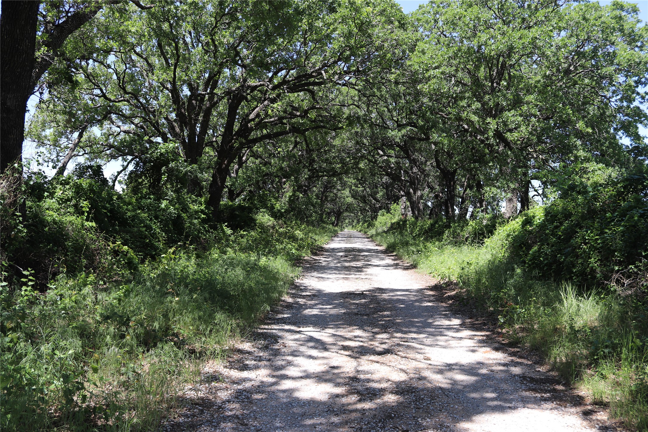 120 Acres Deer Creek Road Henrietta TX 76365
