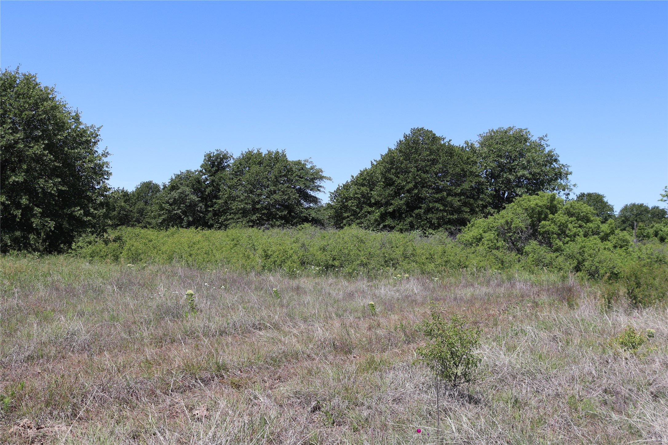120 Acres Deer Creek Road Henrietta TX 76365