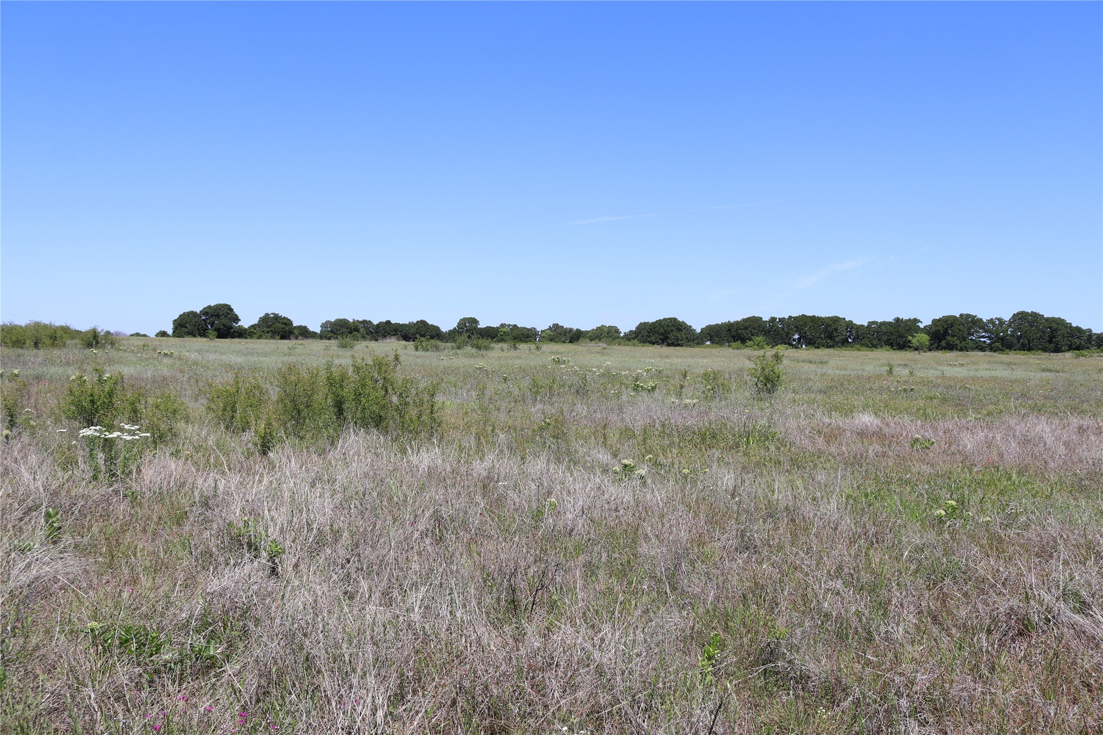 120 Acres Deer Creek Road Henrietta TX 76365