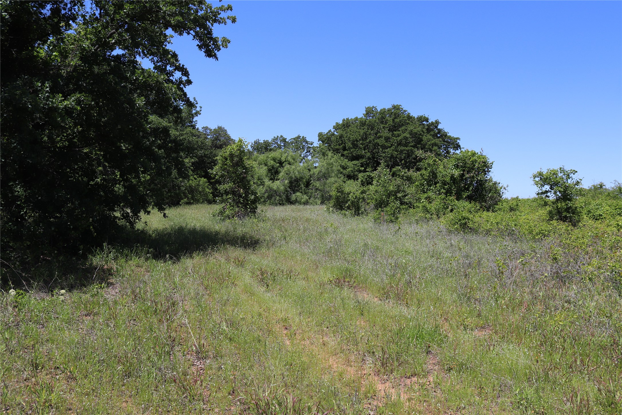 120 Acres Deer Creek Road Henrietta TX 76365