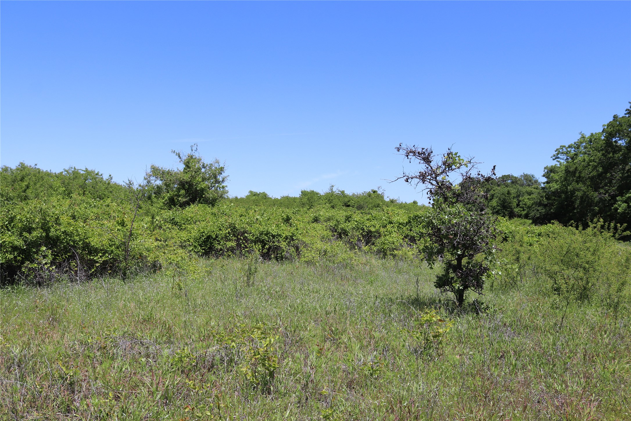 120 Acres Deer Creek Road Henrietta TX 76365