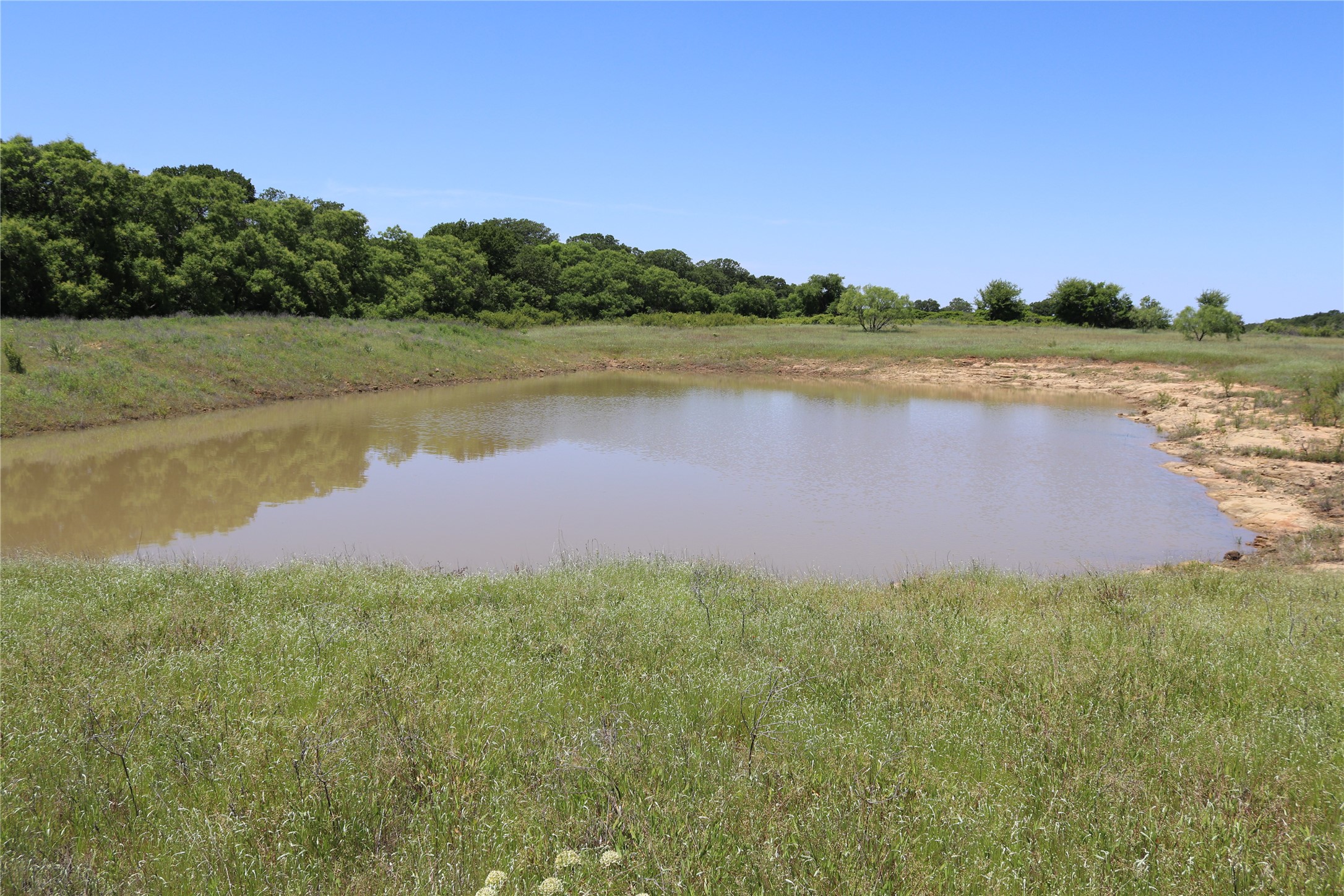 120 Acres Deer Creek Road Henrietta TX 76365