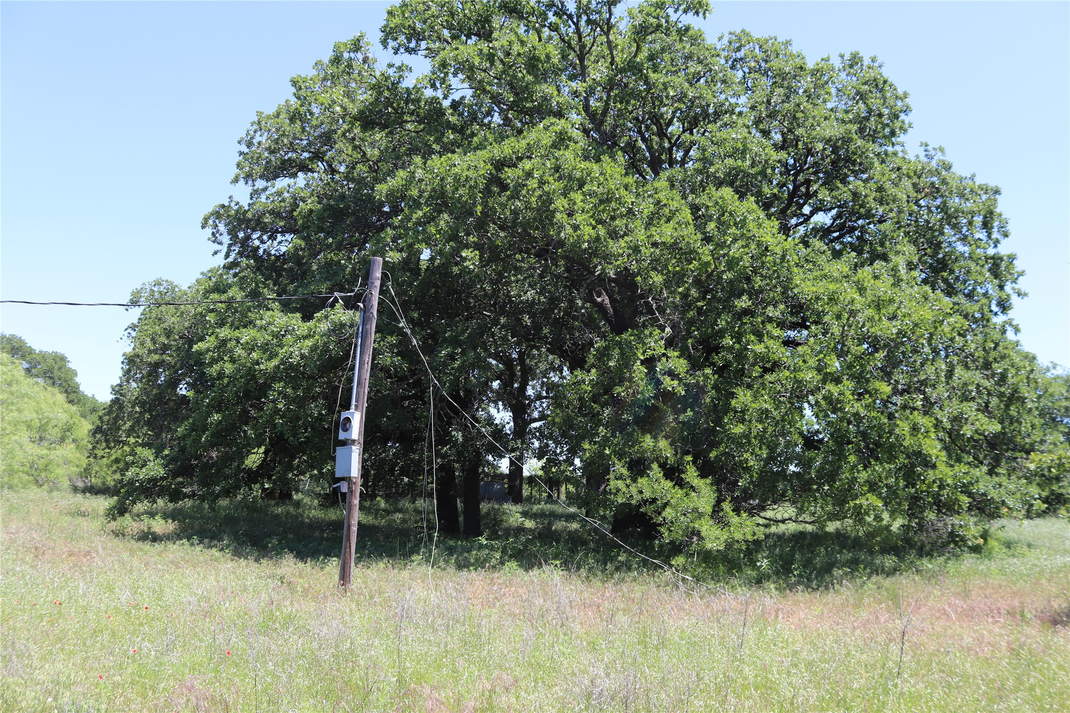 120 Acres Deer Creek Road Henrietta TX 76365