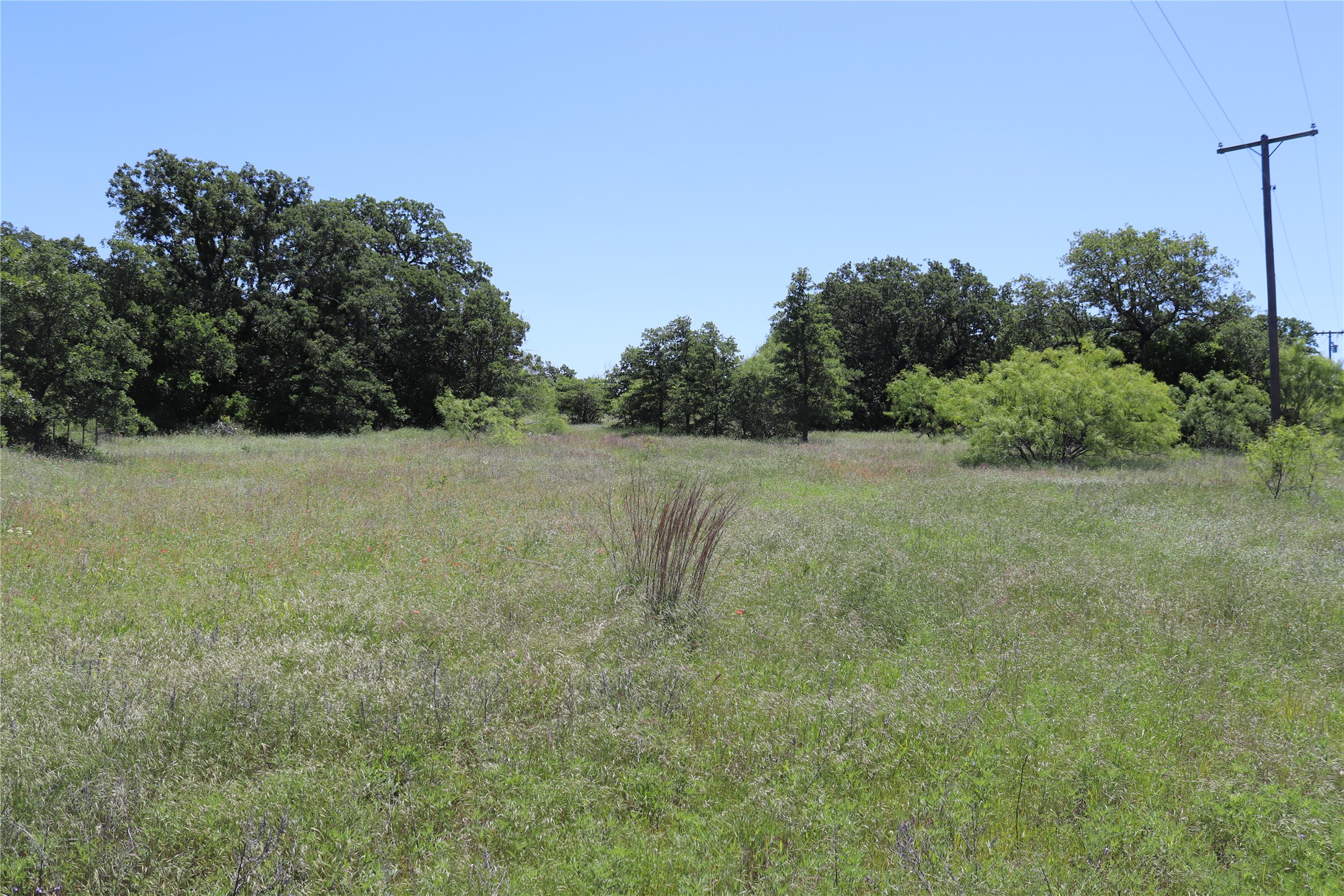 120 Acres Deer Creek Road Henrietta TX 76365