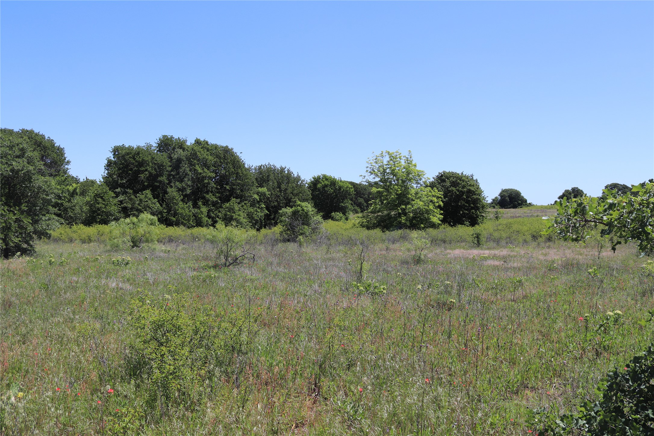 120 Acres Deer Creek Road Henrietta TX 76365