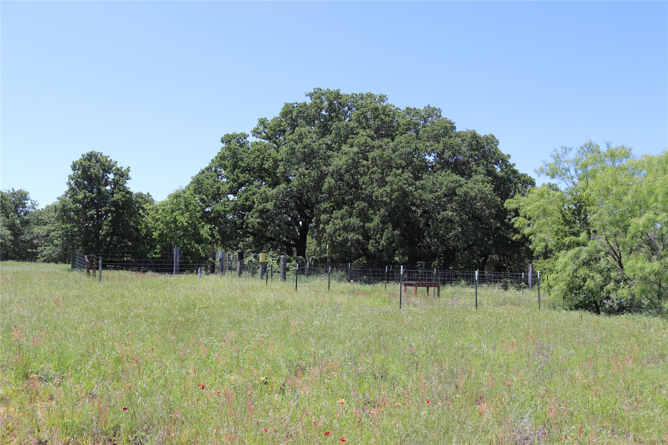 120 Acres Deer Creek Road Henrietta TX 76365