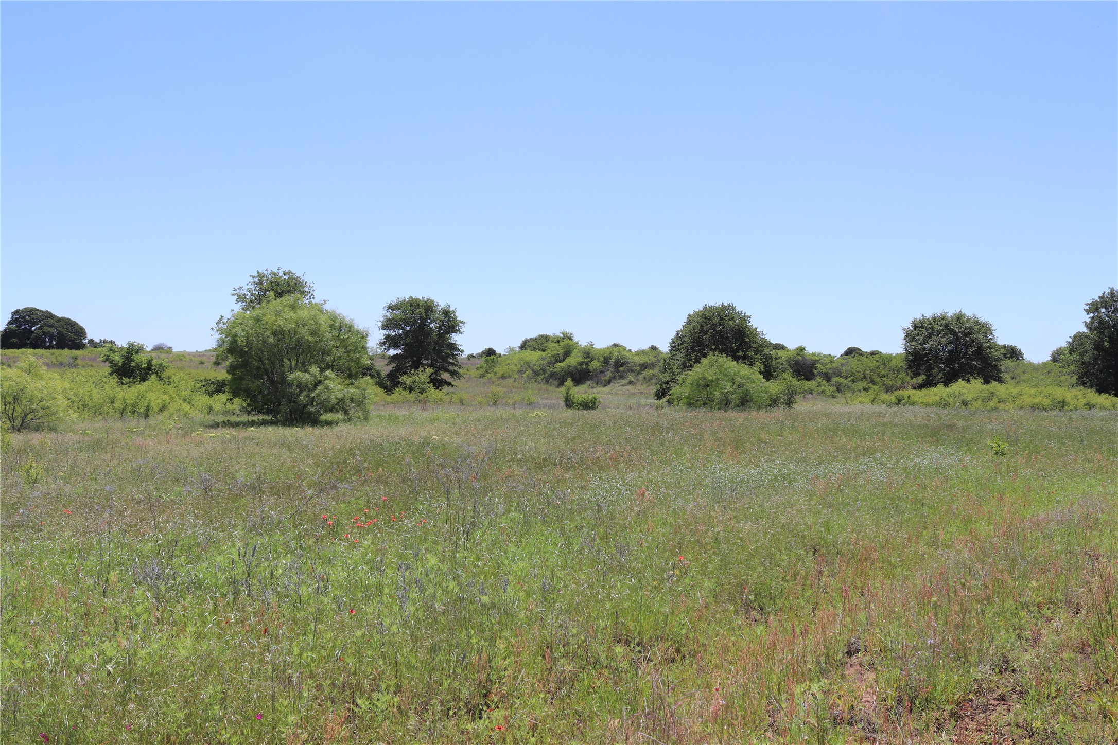 120 Acres Deer Creek Road Henrietta TX 76365