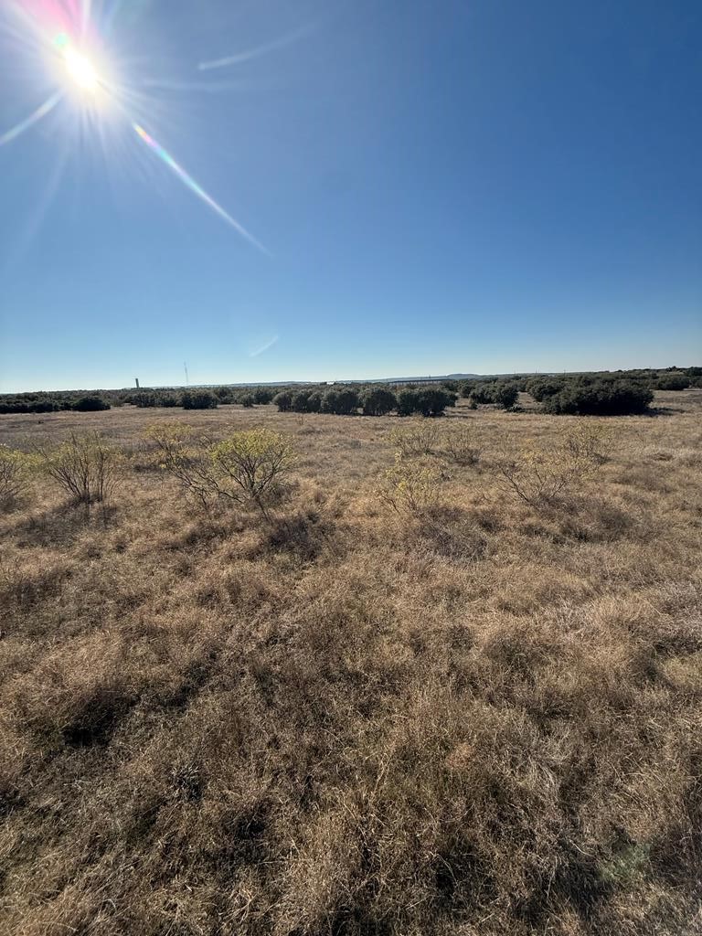 000 Mockingbird Lane Graford TX 76449
