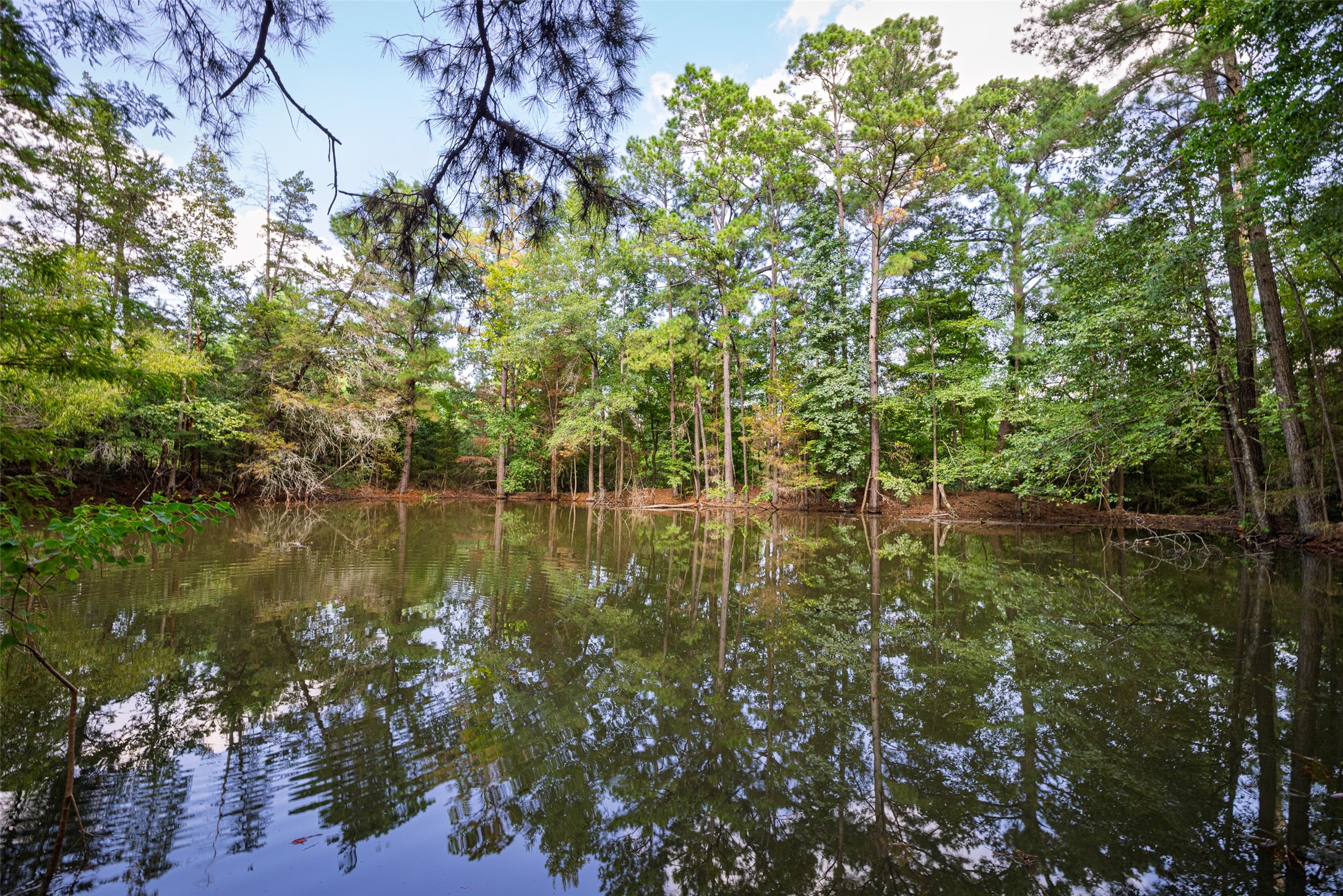 00 Ner Stallings Drive Nacogdoches TX 75963