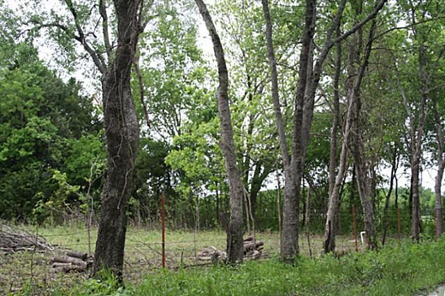 00000 County Road 4910 Trenton TX 75490
