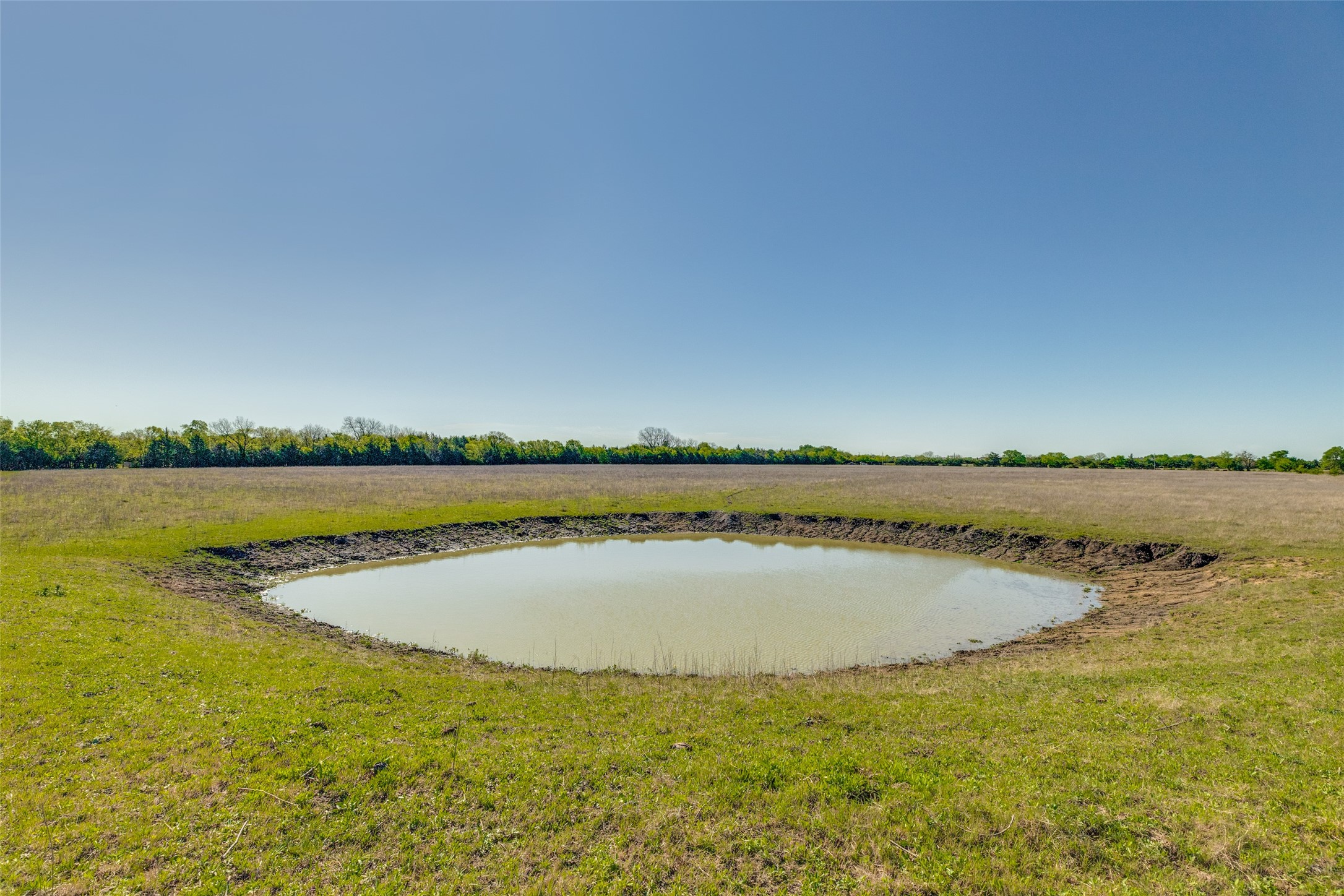 00000 County Road 4910 Trenton TX 75490