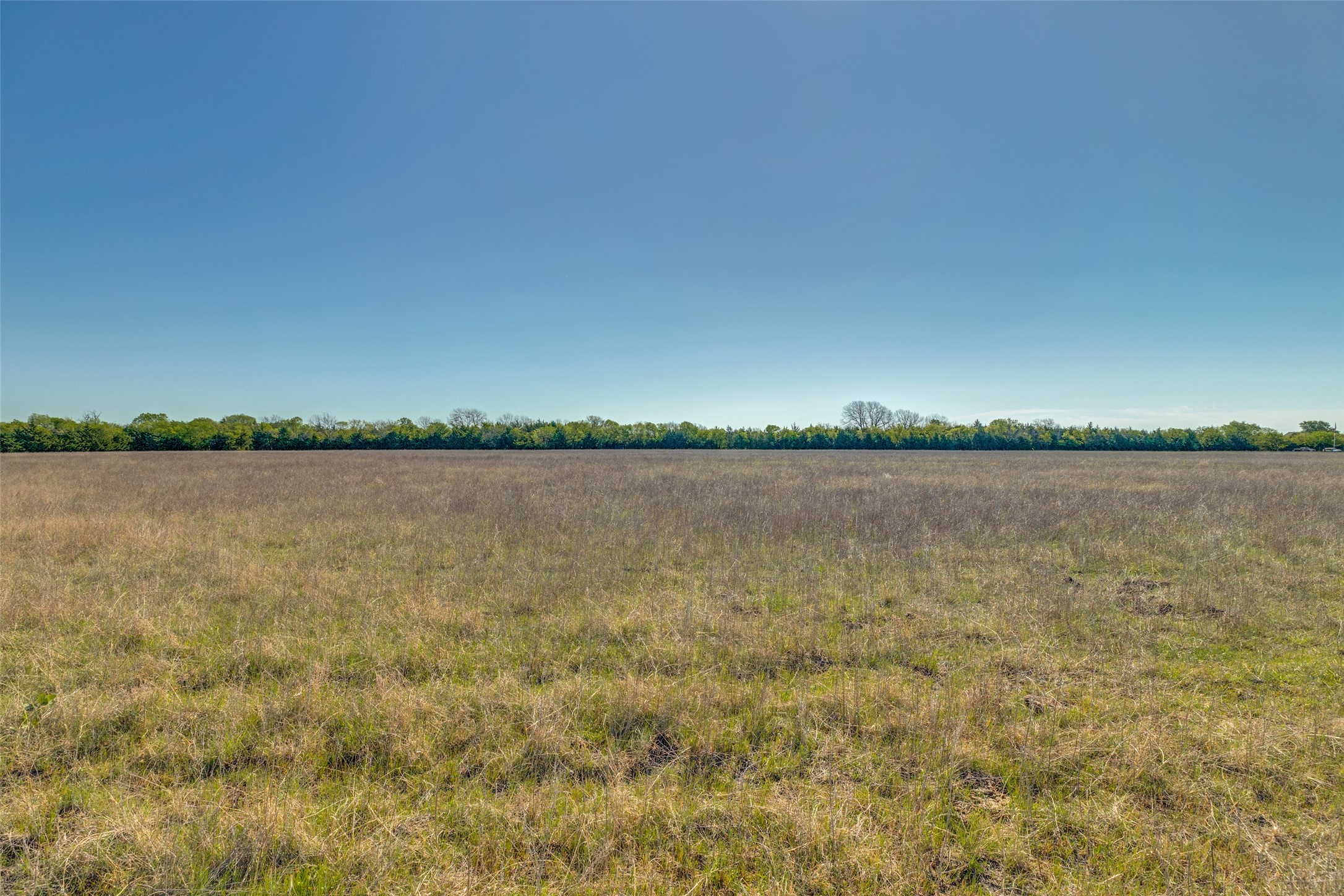 00000 County Road 4910 Trenton TX 75490