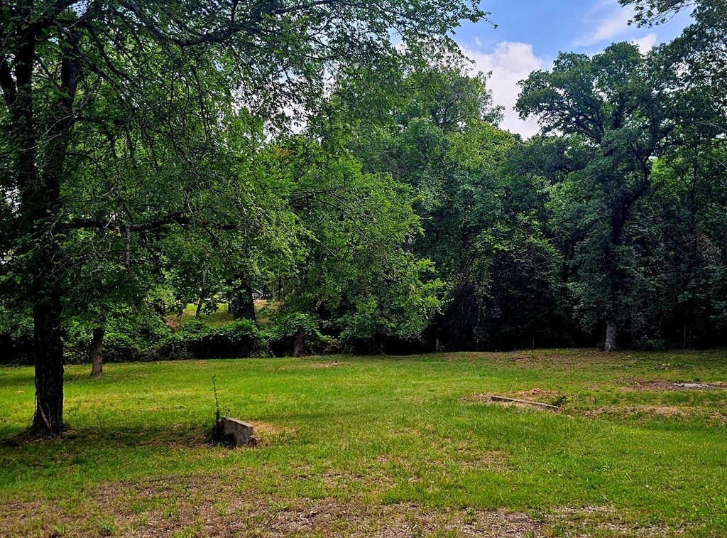 Tbd Oakwood Circle Mabank TX 75156