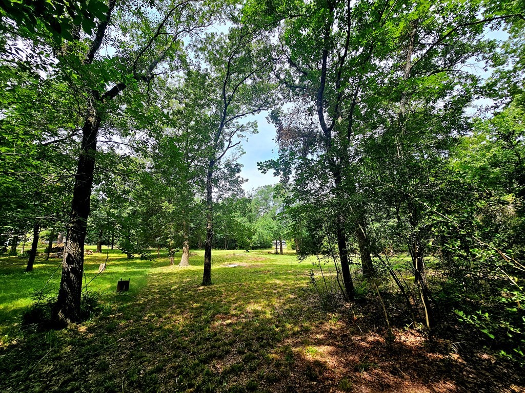 Tbd Oakwood Circle Mabank TX 75156