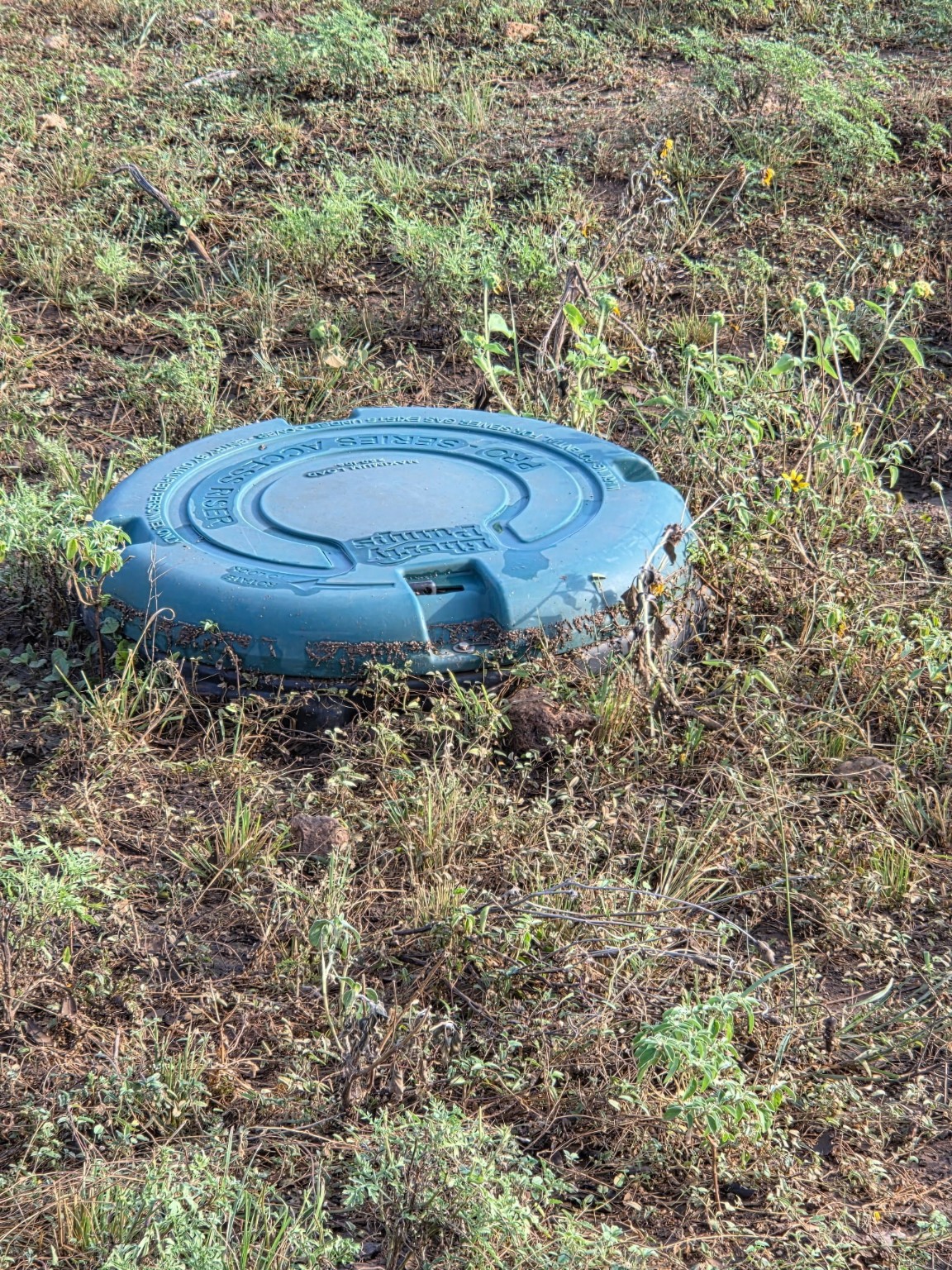 11437 Fm 1176 Santa Anna TX 76878