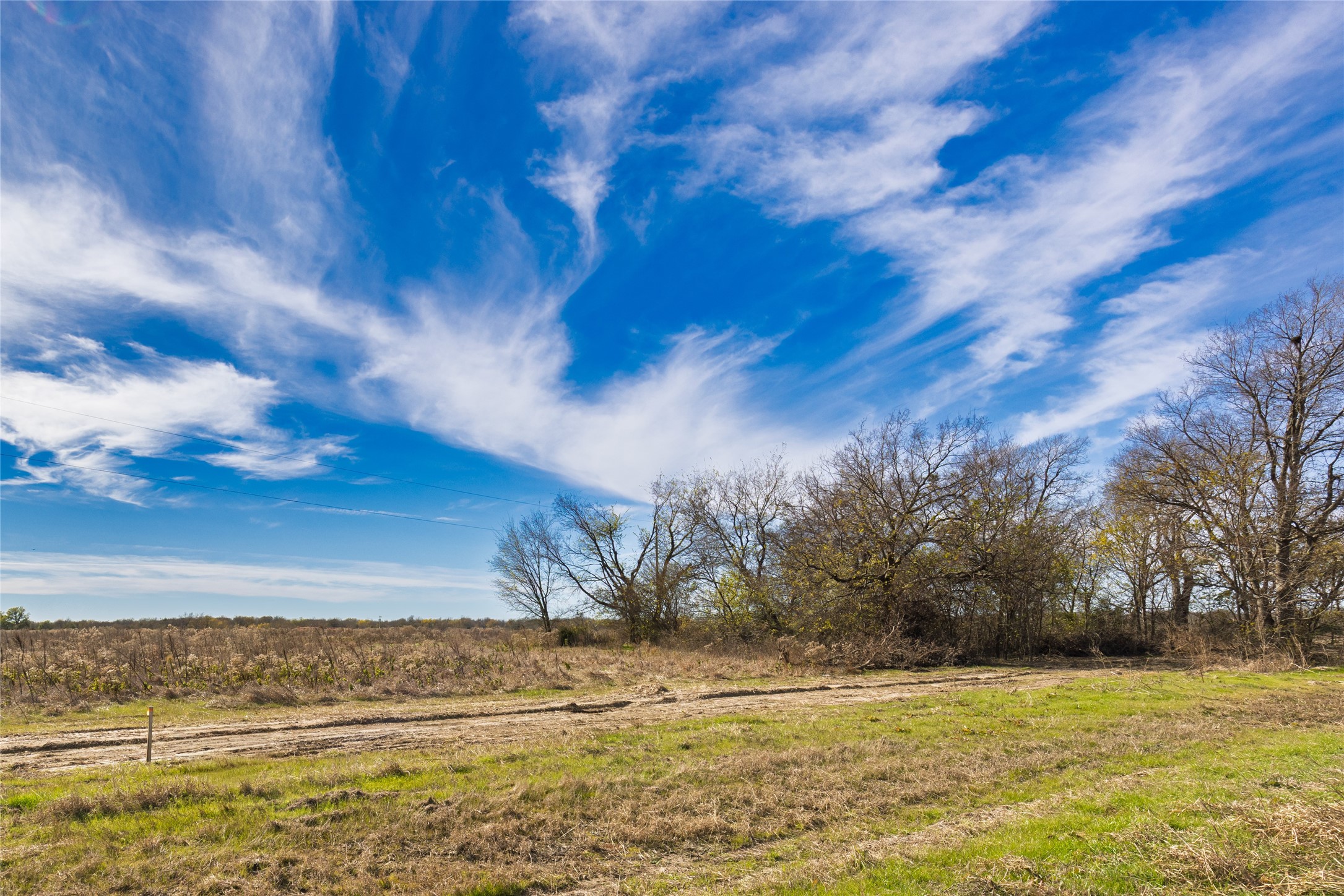 Lot 10 County Road 4609 Commerce TX 75428