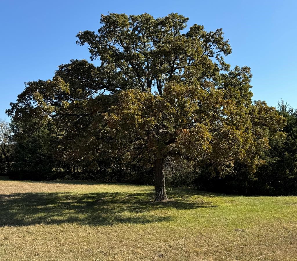 6325 S Farm To Market 148 Kaufman TX 75142