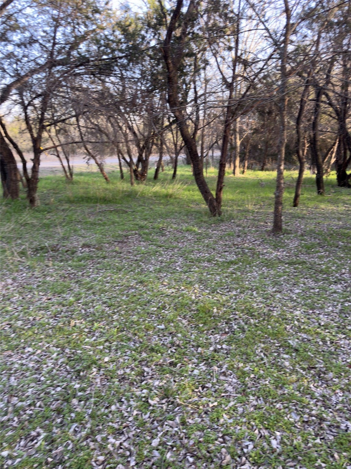 12147 Trailwood Drive Whitney TX 76692