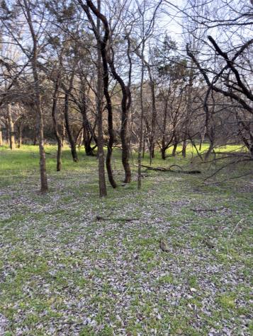 12147 Trailwood Drive Whitney TX 76692
