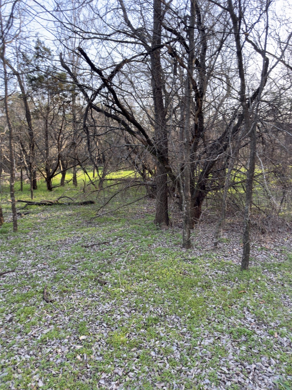 12147 Trailwood Drive Whitney TX 76692