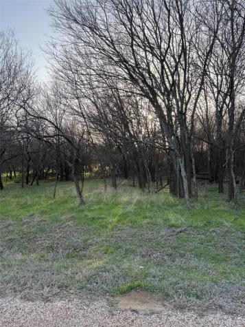12147 Trailwood Drive Whitney TX 76692