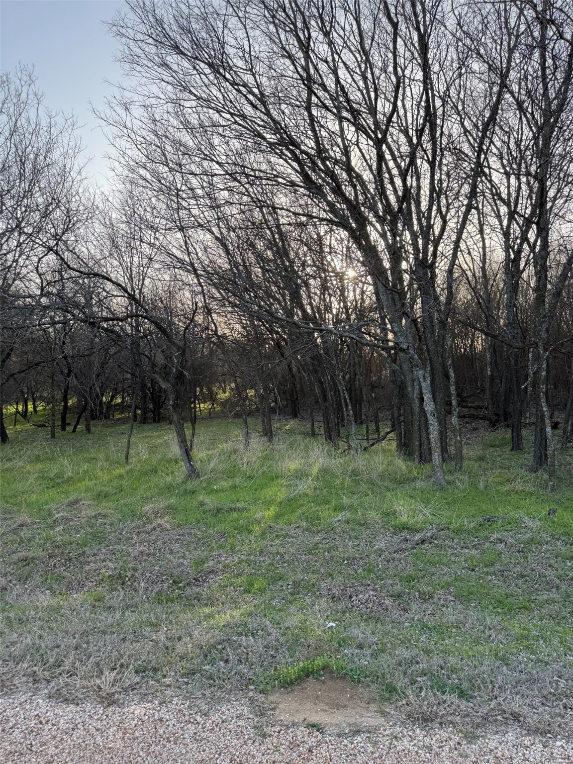 12147 Trailwood Drive Whitney TX 76692