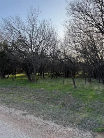 12147 Trailwood Drive Whitney TX 76692