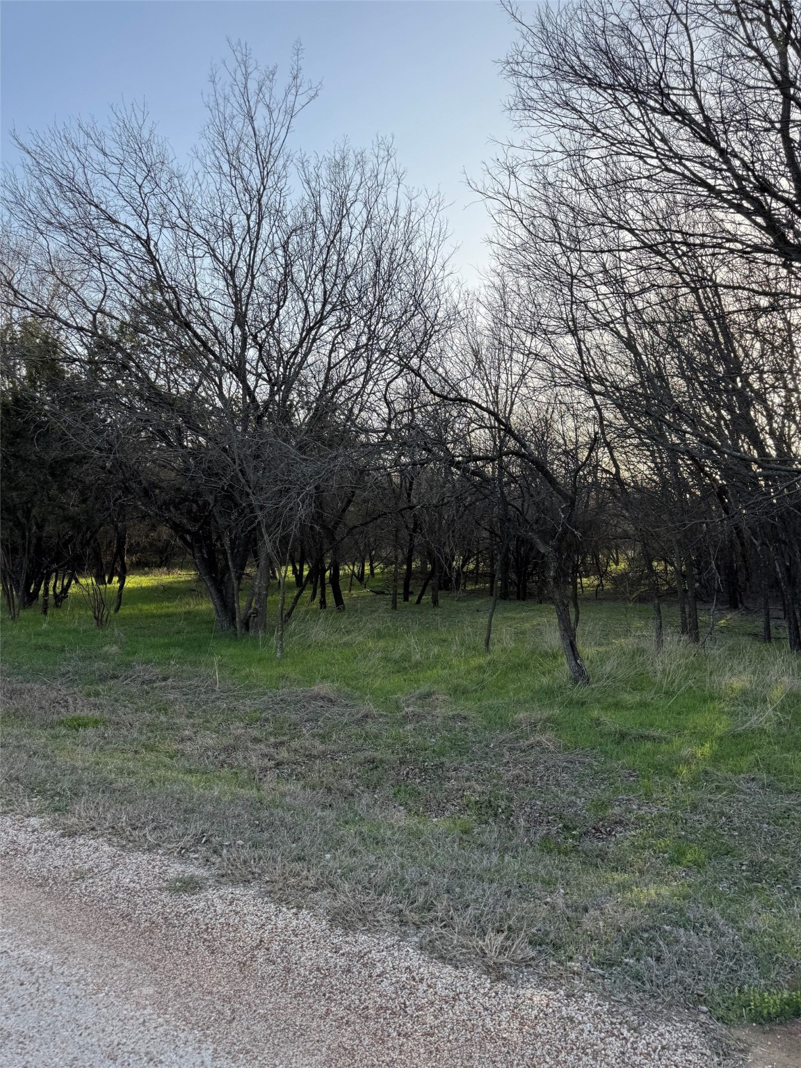 12147 Trailwood Drive Whitney TX 76692