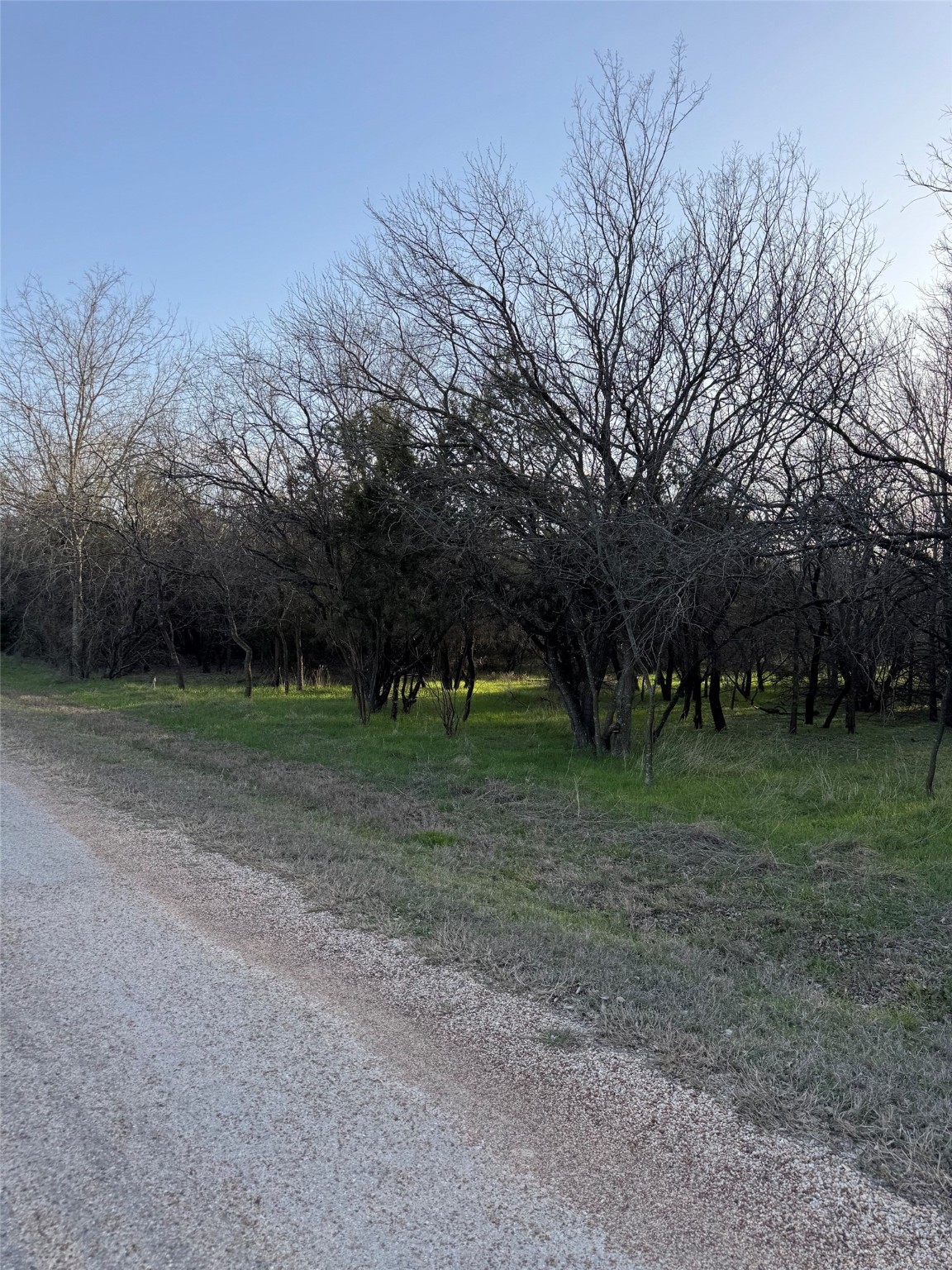 12147 Trailwood Drive Whitney TX 76692