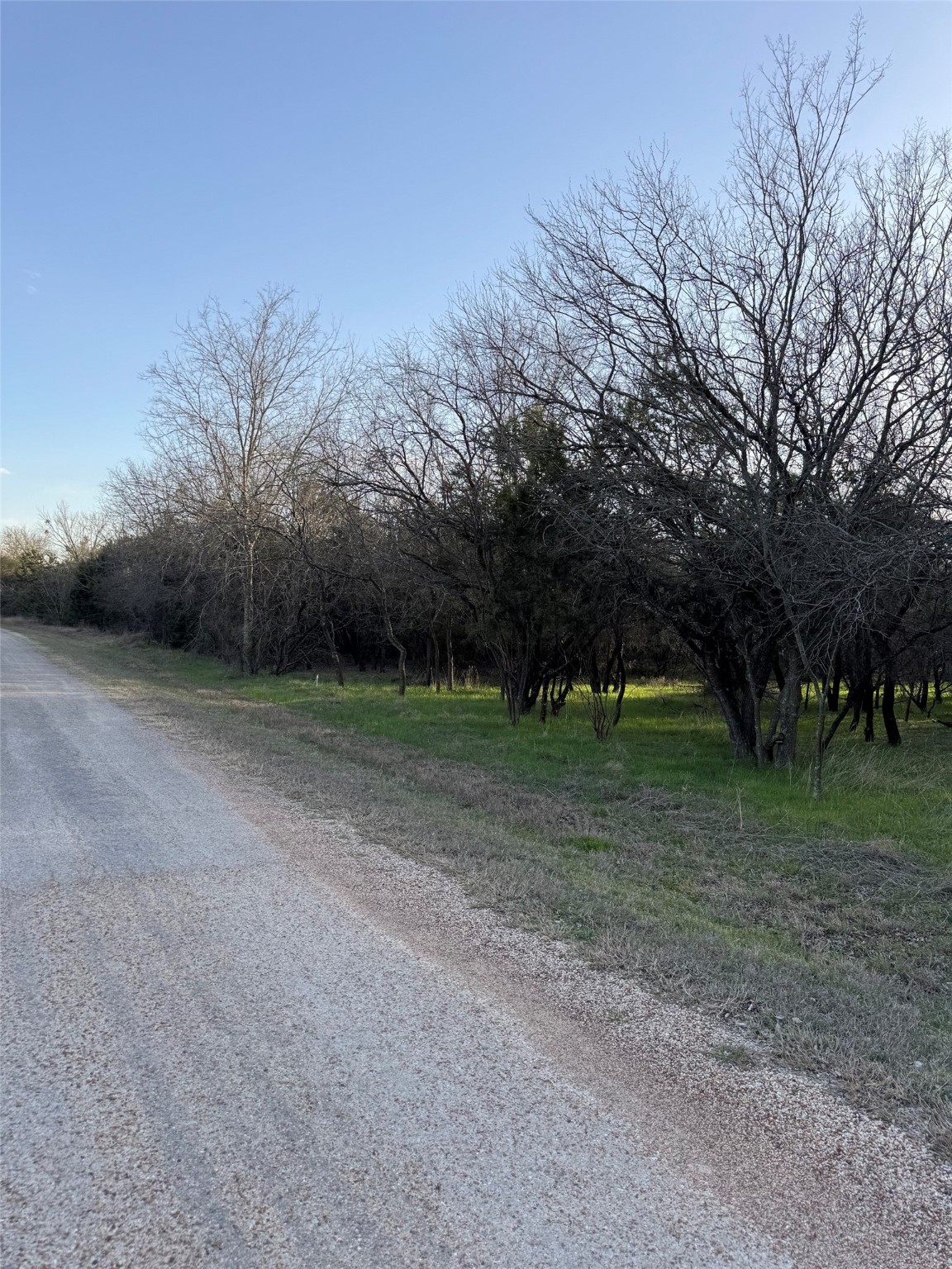 12147 Trailwood Drive Whitney TX 76692