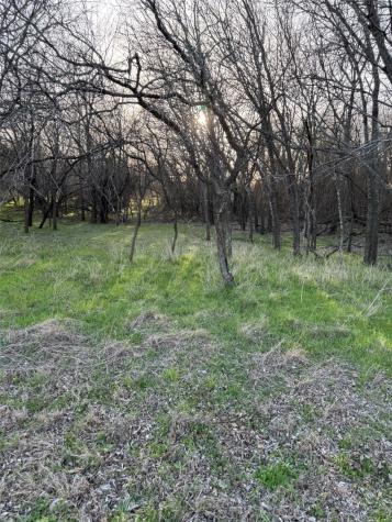 12147 Trailwood Drive Whitney TX 76692