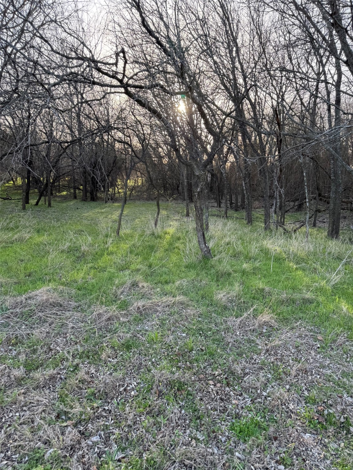 12147 Trailwood Drive Whitney TX 76692