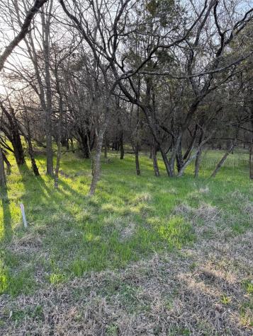 12147 Trailwood Drive Whitney TX 76692