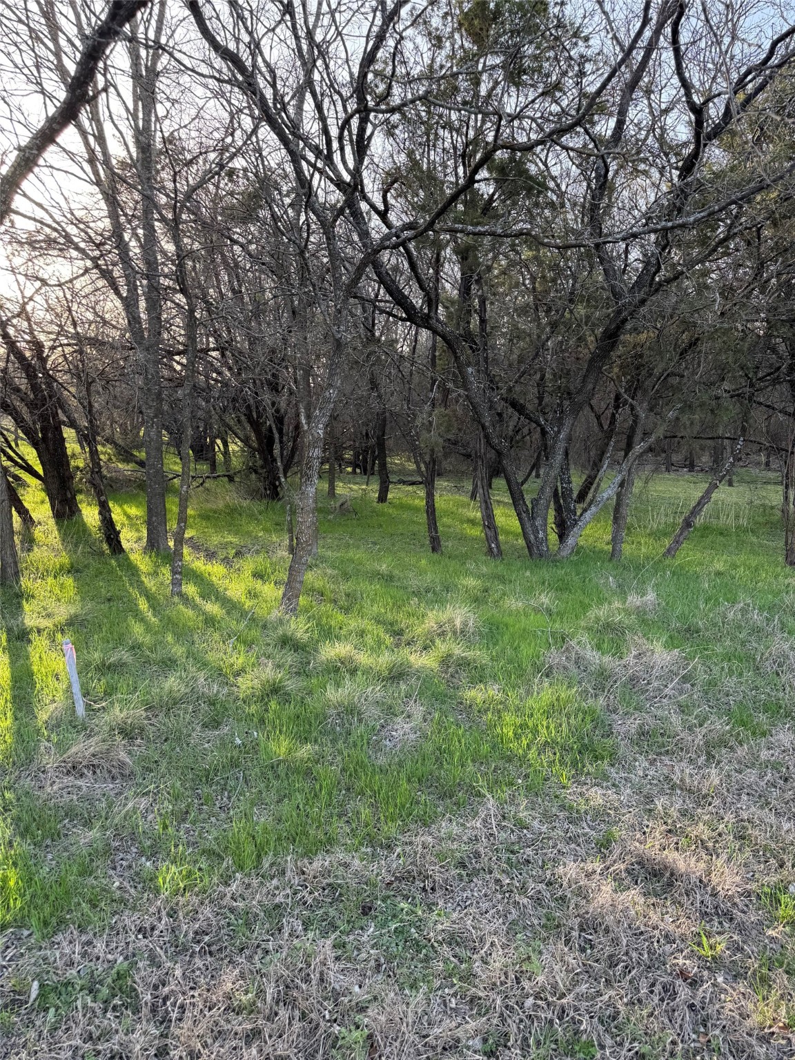 12147 Trailwood Drive Whitney TX 76692